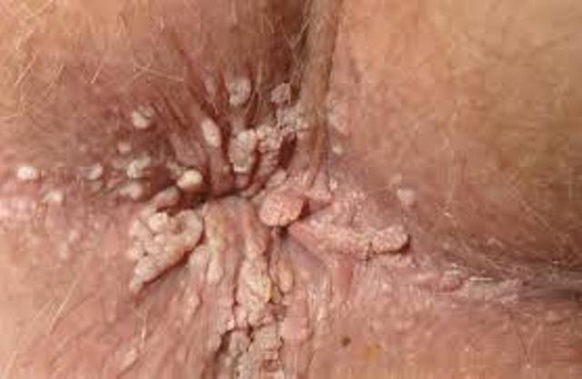 Dr.Kashid Hospital & Piles Clinic